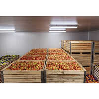 Apple Cold Storage Room Services