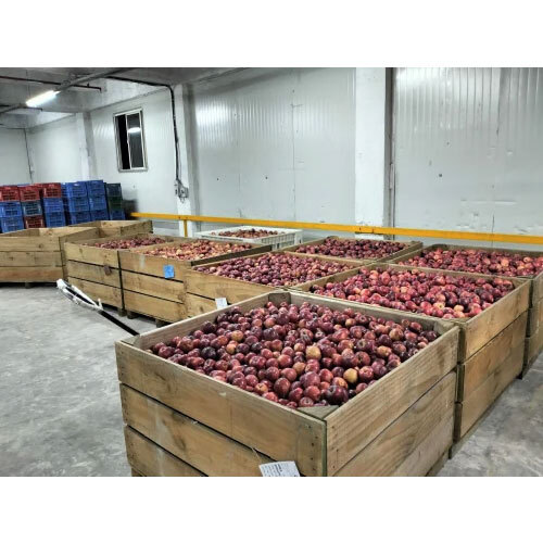 Apple Cold Storage Room Services