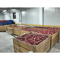 Apple Cold Storage Room Services