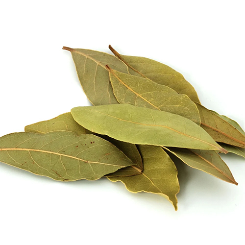 Organic Green Bay Leaf