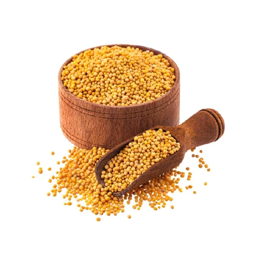 Organic Yellow Mustard Seed