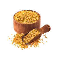 Organic Yellow Mustard Seed