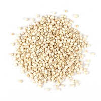 White Organic Quinoa - Purity: 95-98%
