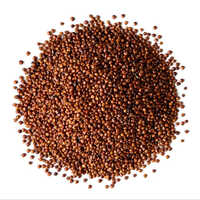 Organic Red Quinoa - Moisture (%): 5%