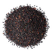 Black Organic Quinoa