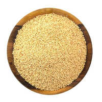 Organic Amaranth Seeds