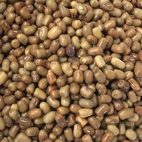 Organic Moth Dal