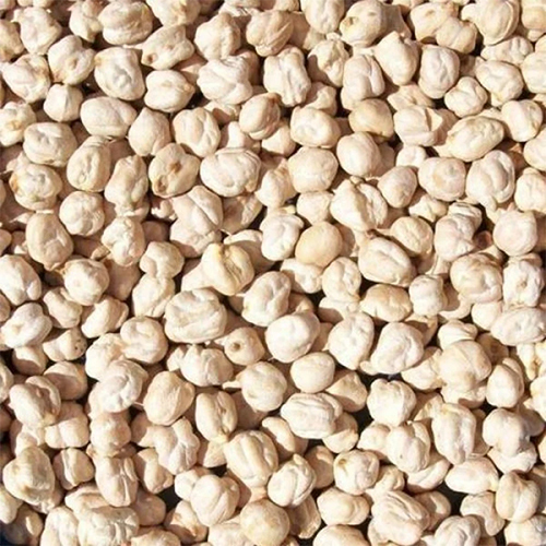 Organic Kabuli Chana
