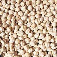 Organic Kabuli Chana