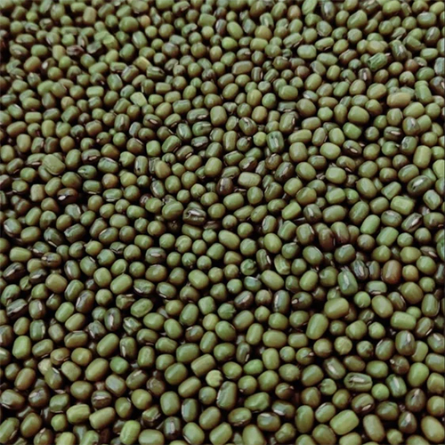 Organic Saboot Moong Dal - Color: Green
