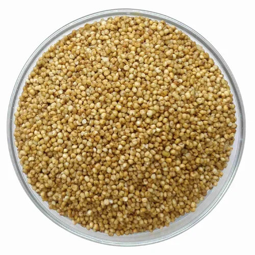 Organic Kodo Millet