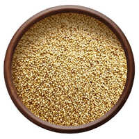 Organic Foxtail Millet - Color: Brown