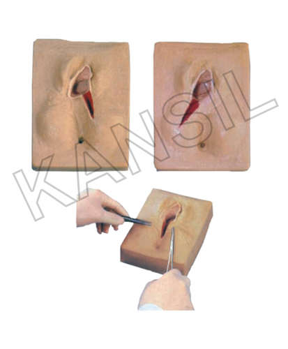 Vulva Suturing Training Simulator Model