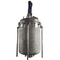 1000L SS Liquid Mixing Tank