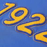 HIGH SPEED MIXED CHENILLE EMBROIDERY MACHINE