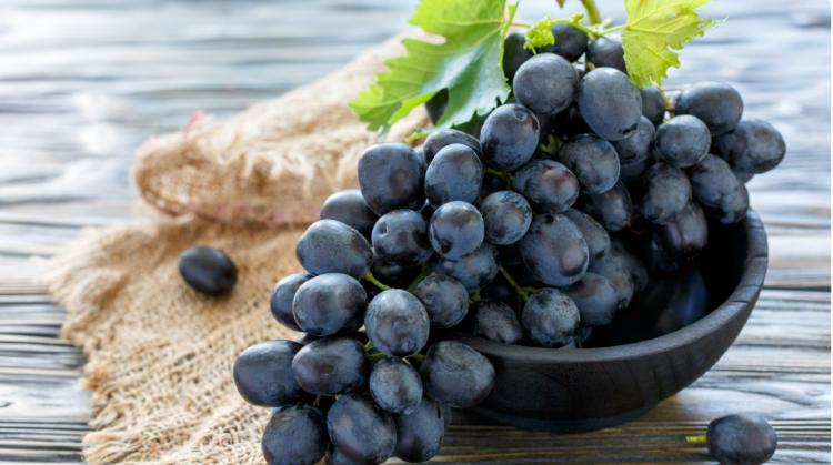 Fresh Black Grapes - Cultivation Type: Common