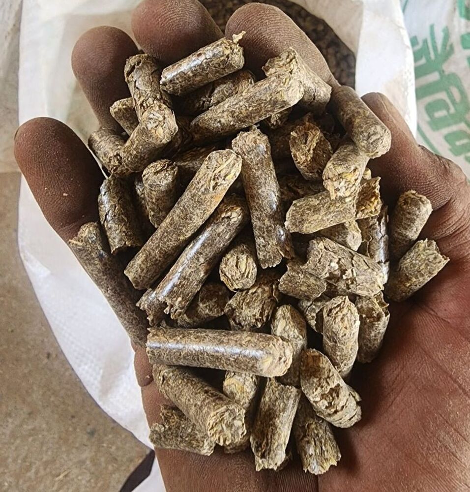 Paddy 8mm pellet