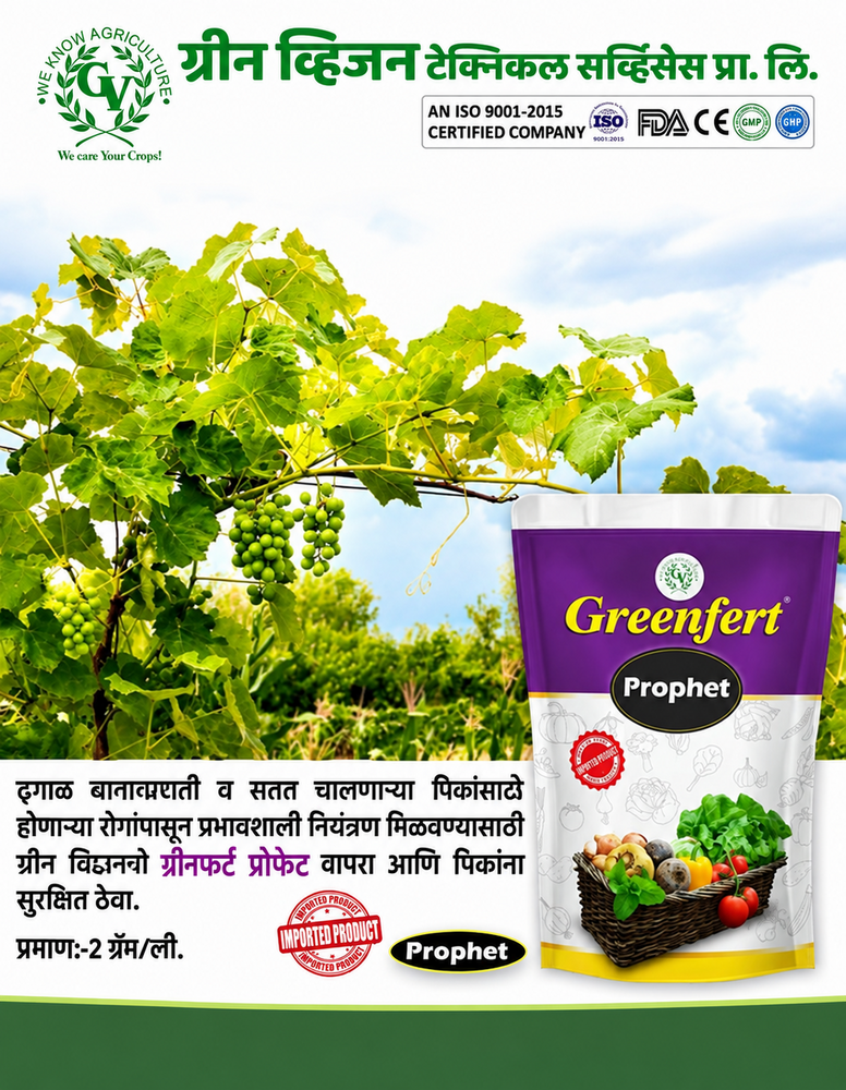 Potassium Phosphite - Liquid Plant Nutrient 500mL-20L | Highly Systemic, Enhances Plant Defense, Promotes Root & Shoot Development