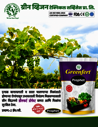 Potassium Phosphite - Liquid Plant Nutrient 500ml-20l | Highly Systemic, Enhances Plant Defense, Promotes Root & Shoot Development