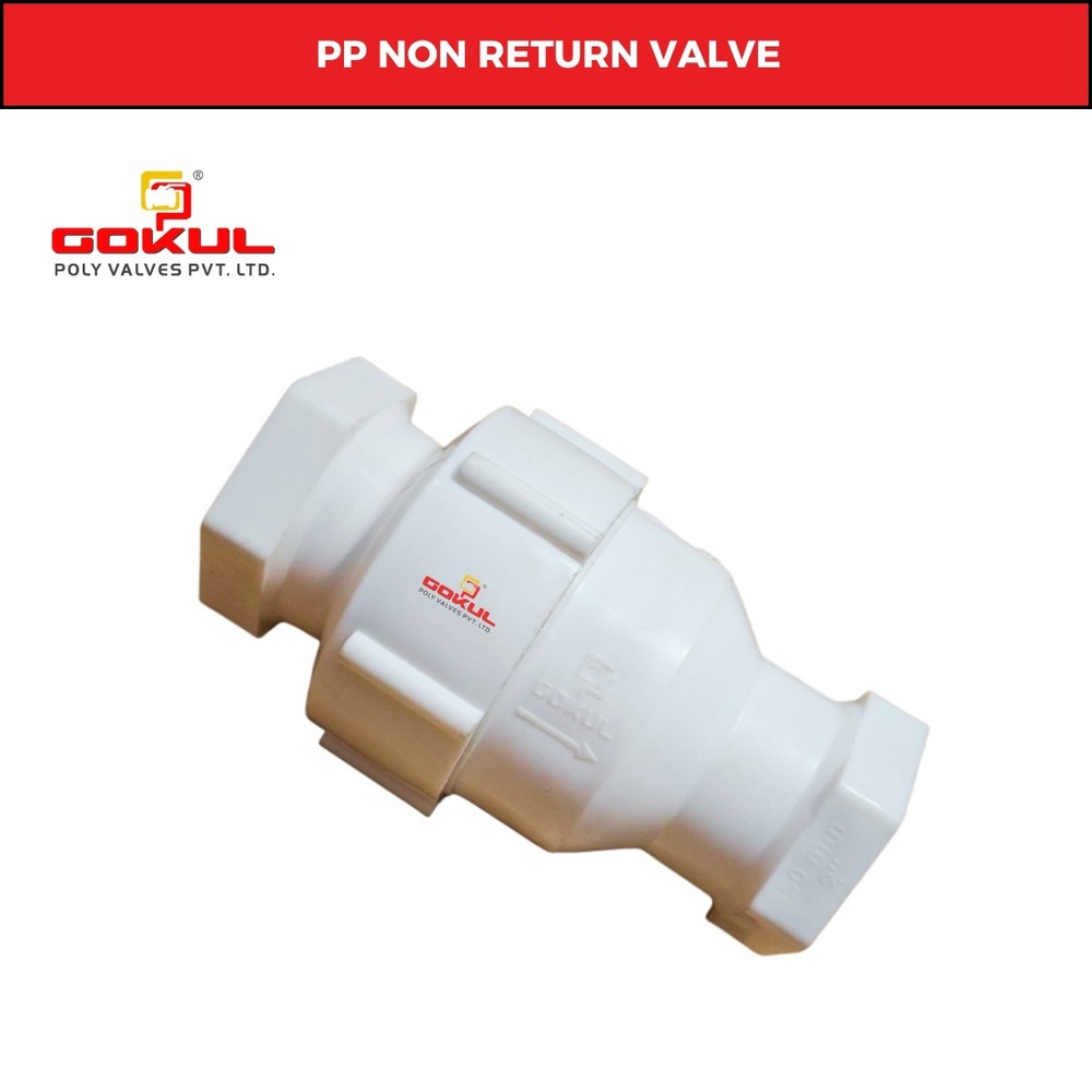 PP Foot Valve Screw End 4
