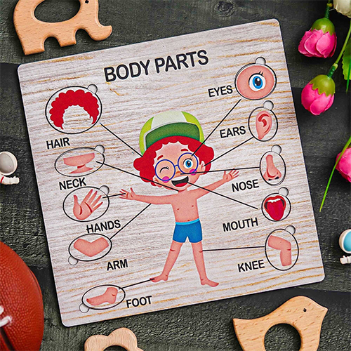 Body Parts Puzzle
