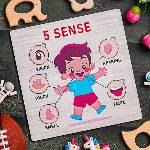 Sense Puzzle