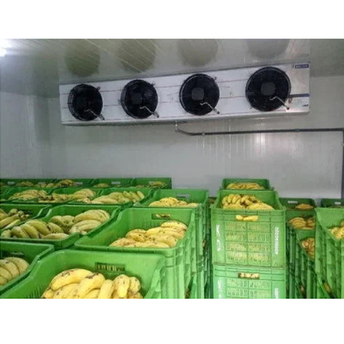 Banana Ripening Chamber - 12 Ton Capacity, 7500-55000W Power, 280-415V Voltage | Sleek White Design, Durable with Warranty
