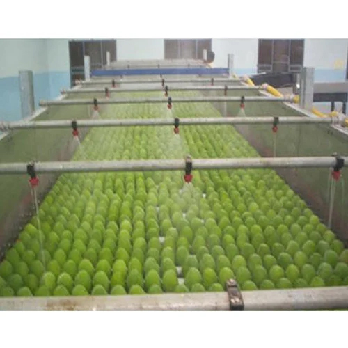 Mango Ripening Chamber - 12 Ton Capacity, 280-440 V Voltage | White Color, Warranty Included