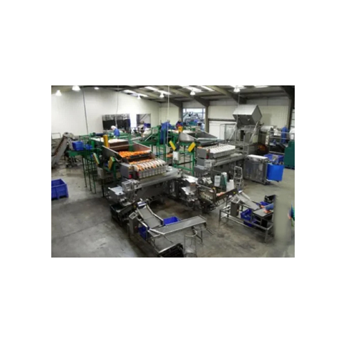Vegetable And Fruits Washing Grading Sorting Waxing Line - Capacity: 1000-2000 Kg Per Day Kg/Day