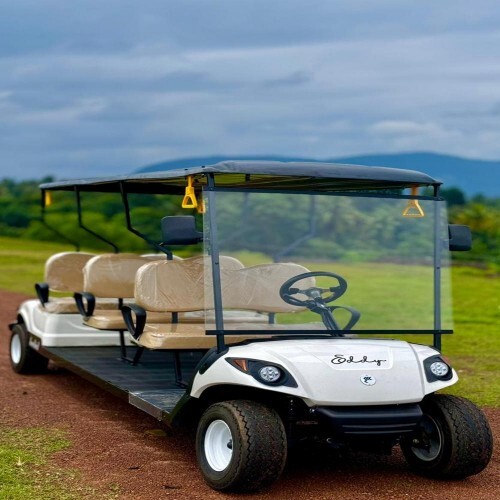 Electric Buggy Manufacturers in Tamilnadu