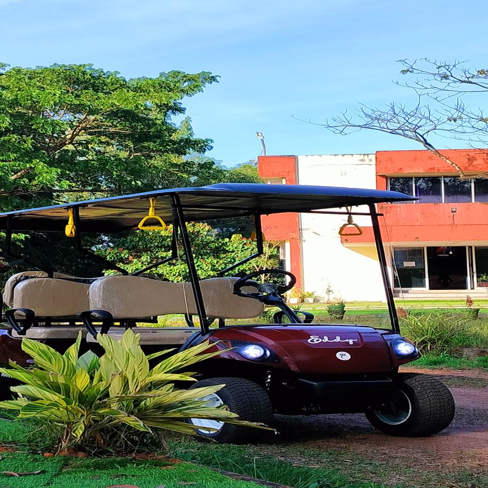 Electric Buggy - Features: Heavy Duty