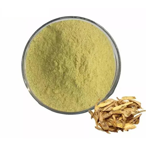 American Skullcap Extract Powder - Cultivation Type: Organic