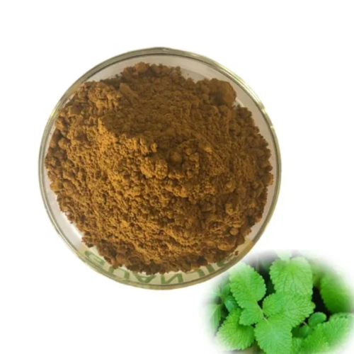 Birthwort Extract Powder - Cultivation Type: Organic