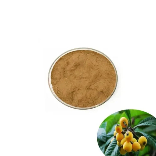 Loquat Leaves Extract Powder - Cultivation Type: Organic