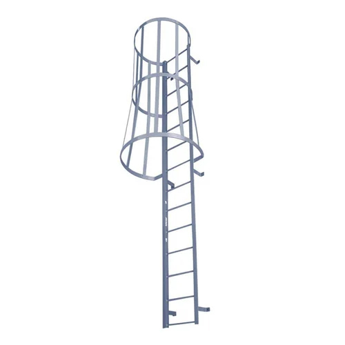 Ms Monkey Ladder
