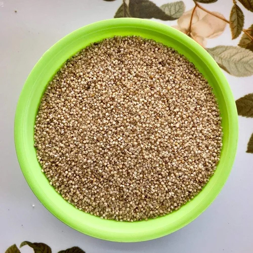 Brown Organic Millet Seeds - Grade: Food