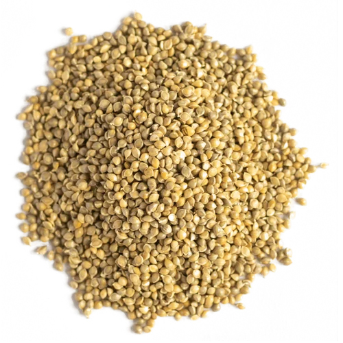 Yellow Barnyard Millet Seeds - Cultivation Type: Organic