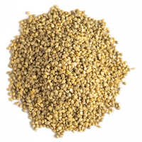 Yellow Barnyard Millet Seeds