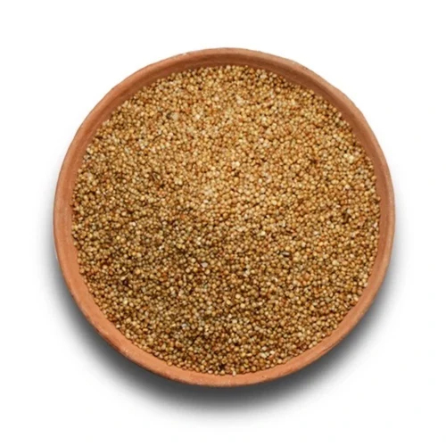 Yellow Kodo Millet Seeds - Color: Brown