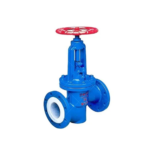 Globe Valve