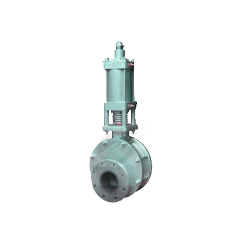Double Disc Valve