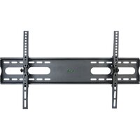 CN - T505 Special Stand