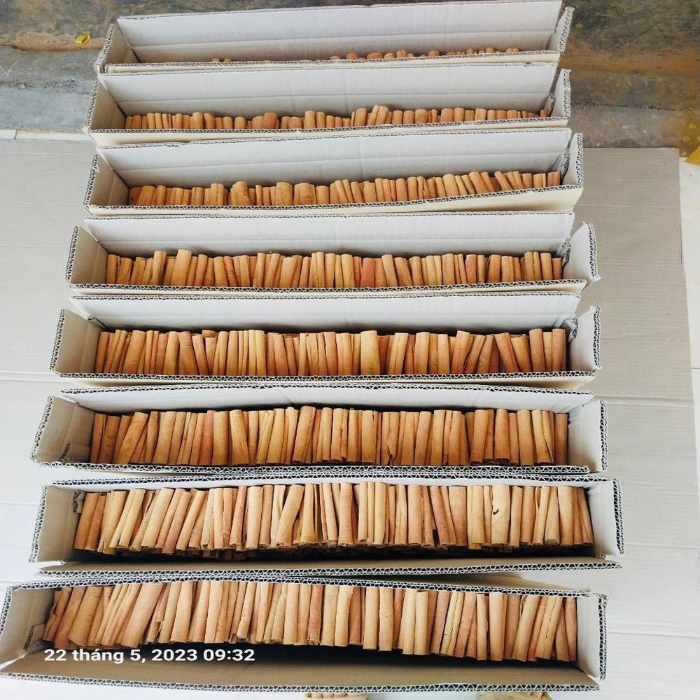 Cinnamon Roll - Color: Natural