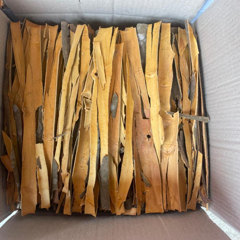 Dalchini  (Cinnamon Sticks)