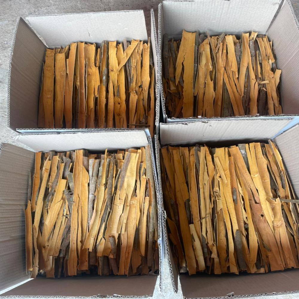 Dalchini (Cinnamon Sticks) - Color: Natural