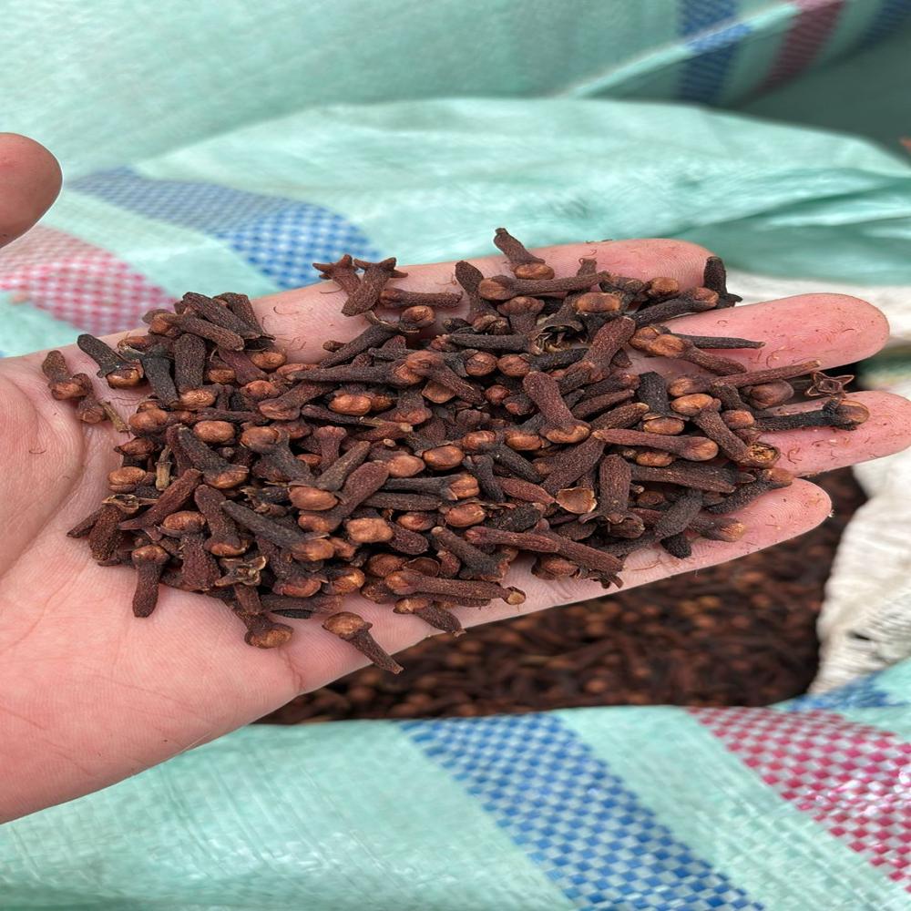 लालपरी लौंग