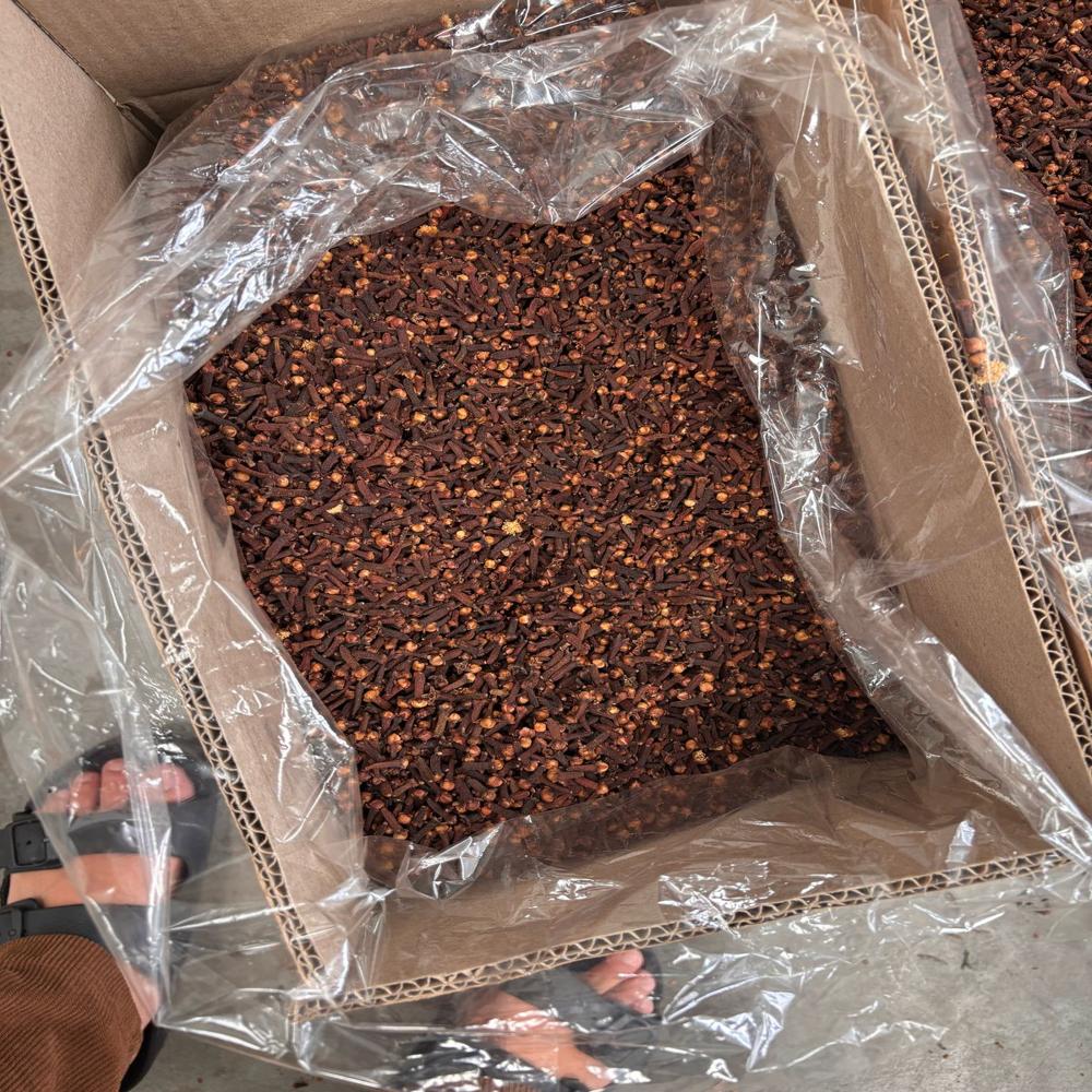 Clove Seeds - Color: Natural