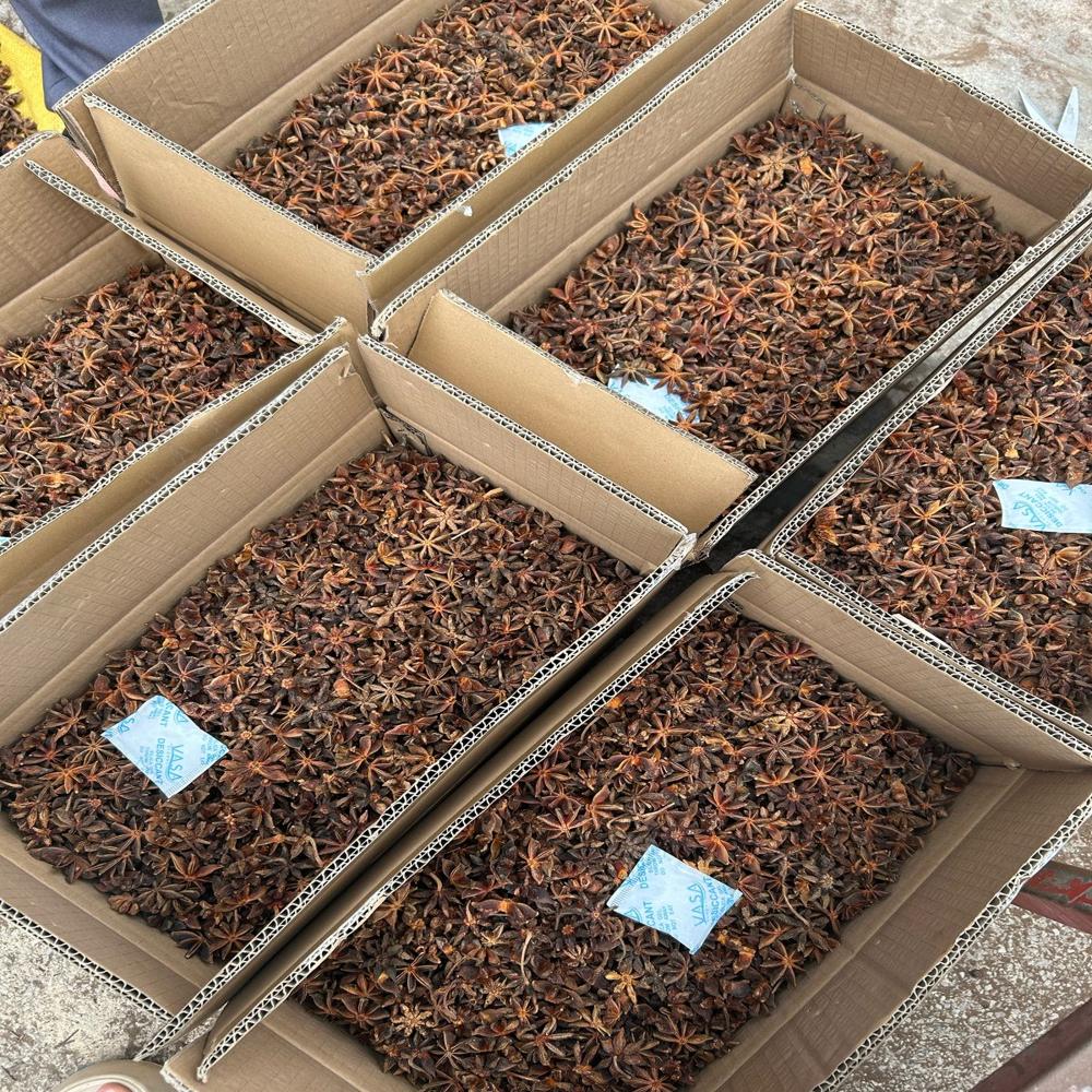 Badiyan Phool (Star Anise) - Color: Natural