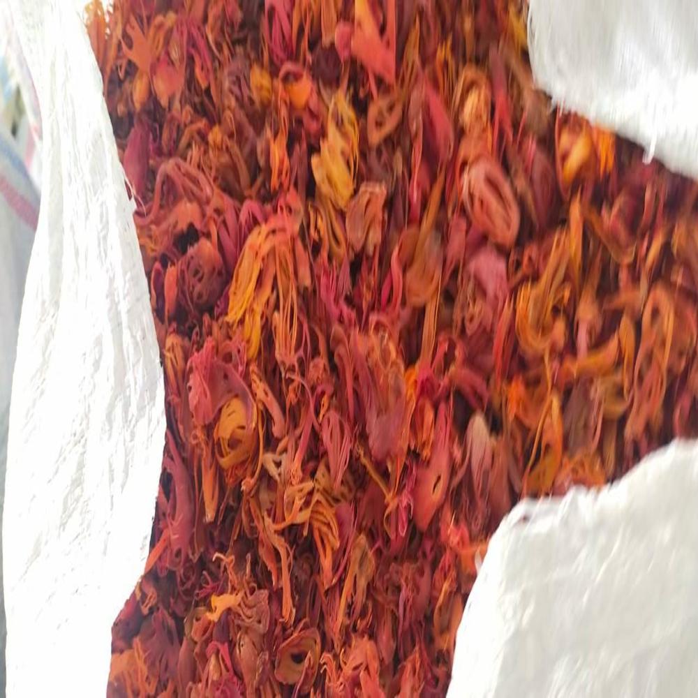 Indian Javitri