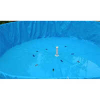 Biofloc Fish Tank